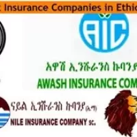 Insurance in Ethiopia: A Comprehensive Guide to Car, Health, and Life Insurance Policies”