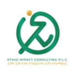 Ethio Impact Consulting